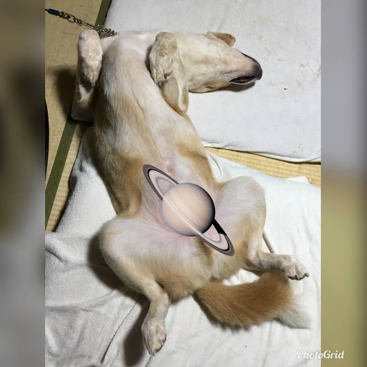 13942394 7ec4 49b0 b5d6 d082c9cbfa0b 1529508390662