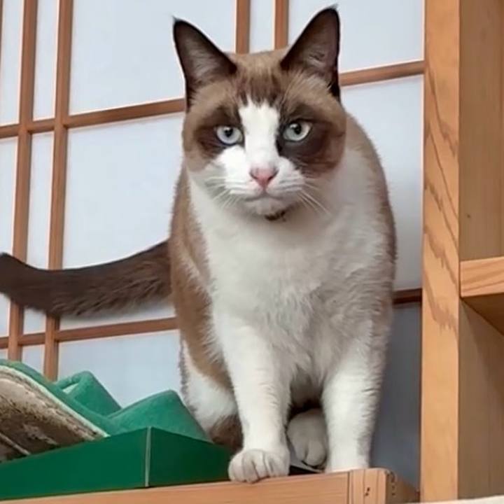 13943542 a50a 46bc 94f8 8486f3f2c5e0 1764381285141