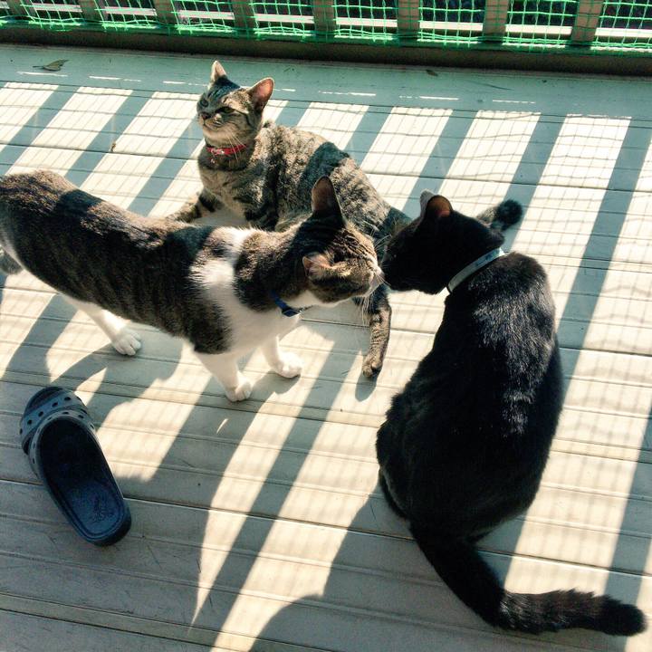 13943923 9b3e 4dcf a56e 7b720755b017 1512693948250