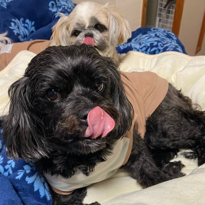 1394568d 5470 4a23 923b 26042eb455e9 1679539671075