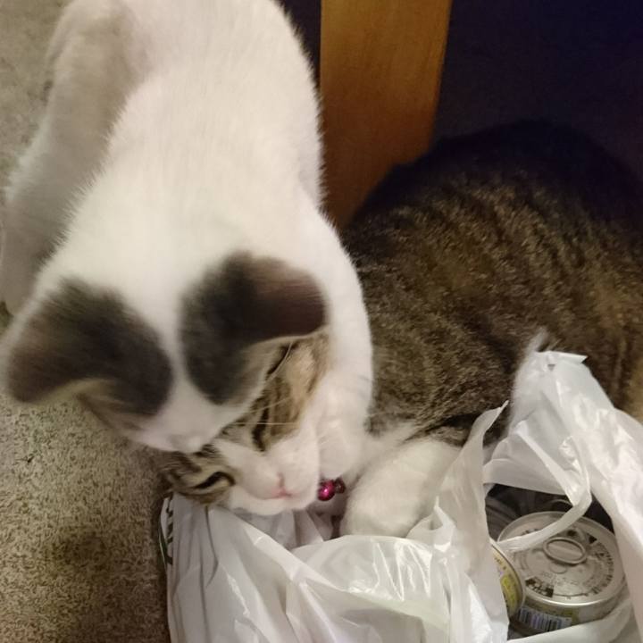 13948b84 89cb 4441 b582 e70865489550 1530579620201