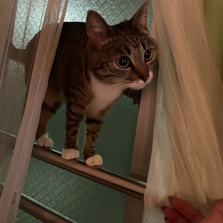 1394926a eb21 42d1 9b41 56d00d5225a2 1573690752182