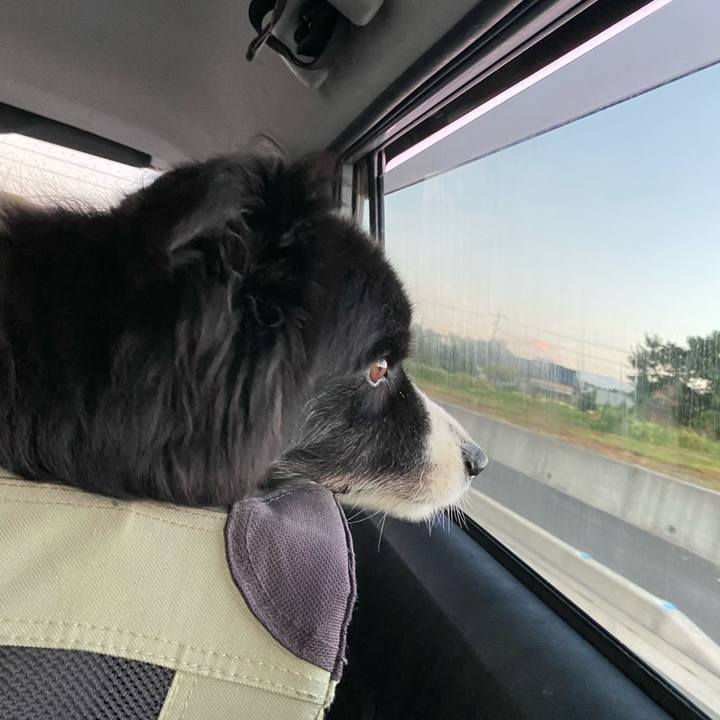 1394b5f8 30a4 4403 9dc3 34968e2432dc 1663189500554