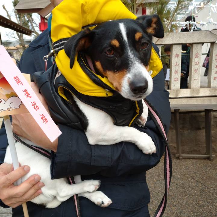 1394d40c 5009 427d bf44 2d48e74d53c6 1577860792342