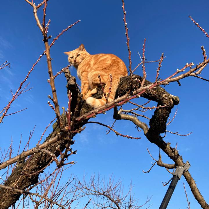 1394f816 3e30 41ee 87f3 44f93a569f3e 1765162611805