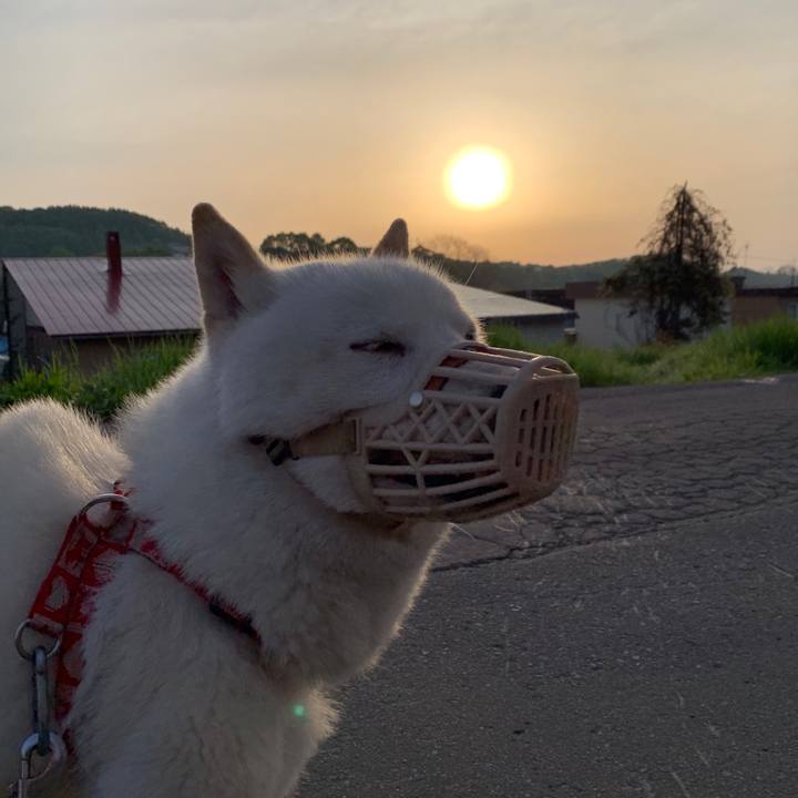 139514ea 78ce 46b5 b34b 863174a1a45c 1558124165572