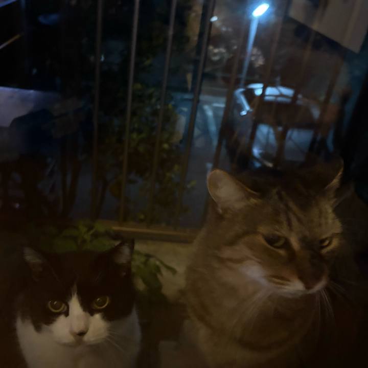 139524dd 3967 4045 a5ab cf912d346dda 1764760445876