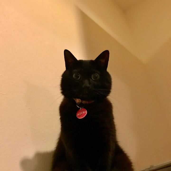 13952645 626f 430b b5df 9407dfce9e53 1571838215403