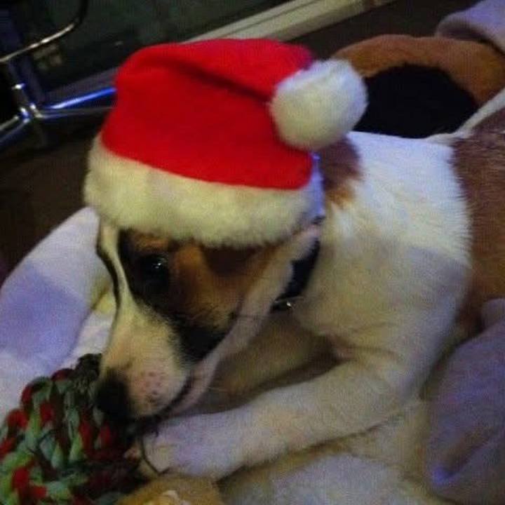 139551ae ced4 4477 96a6 94a9c3a258b9 1766616647058