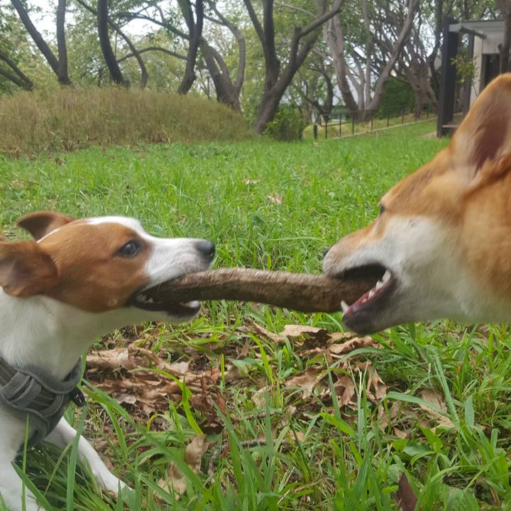 13956023 6f9b 458c a0d5 0ce8444d38e8 1569029588877