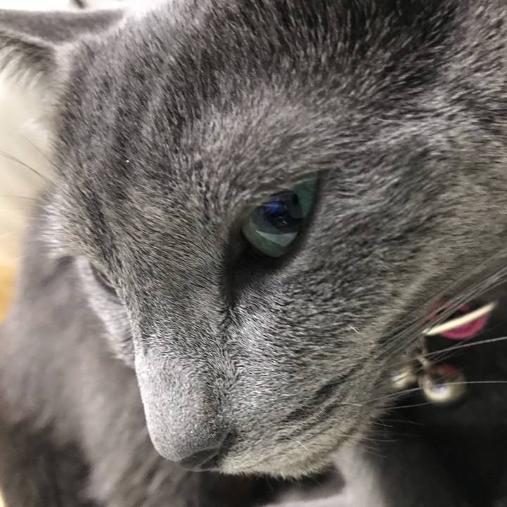 13956789 2a53 496c bee7 671ecb9c243e 1550910115607