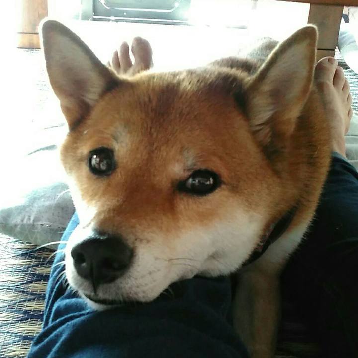 13957794 06b2 4758 8c98 a3b0f29f6834 1537586504110