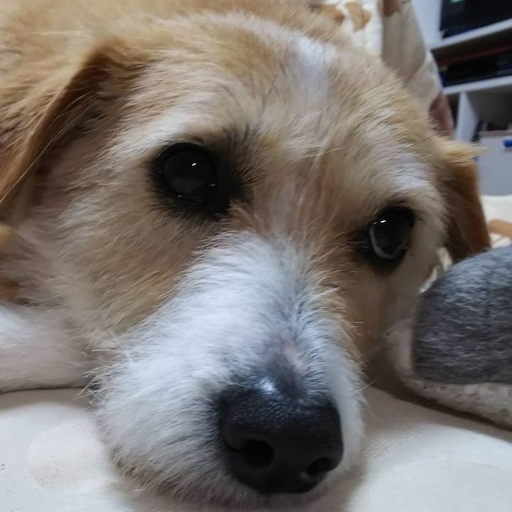 1395e9b0 d658 4795 89df 3fb7acaf48b1 1554974074979