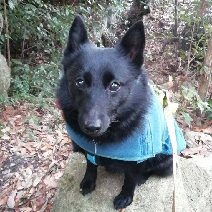 1395f768 9c9f 4c25 8ad6 4d4ba4709d53 1643062103093