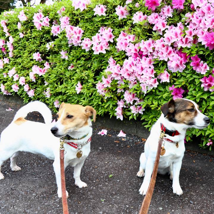 13963481 e44a 44cc 8fef 9907916a0afa 1556328769784