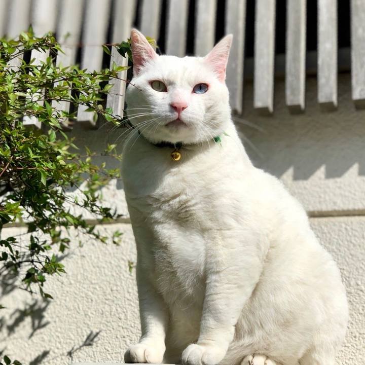 13964eb5 a874 4dba a2af 0ee36ea4a206 1705378977548