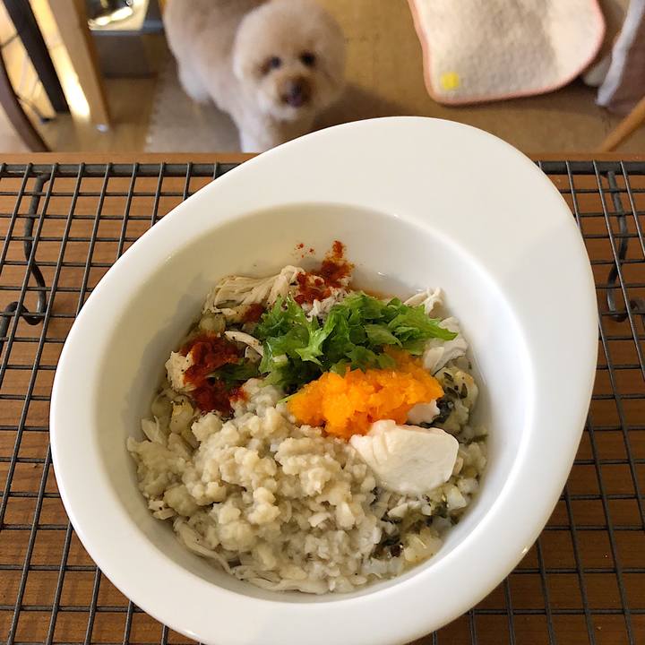 1396f2d3 d0fa 424a 899c 388f010c7118 1528066847196