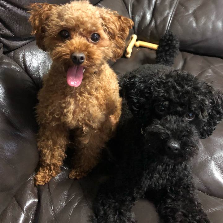 1396f618 32eb 49a9 9ece 1cfc27129a4f 1537310097298