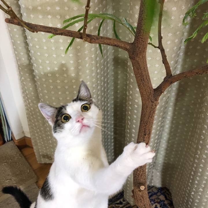 1396f871 6f25 41b2 9df5 55c271886ae6 1631020318680