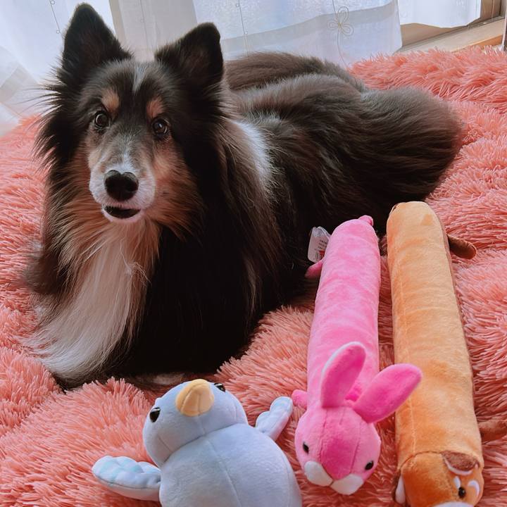 139728e8 8f46 4db0 b8c5 efcbf0435b50 1703958214628