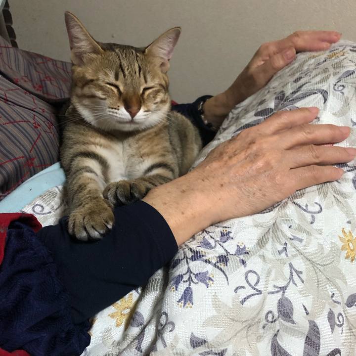 139743ac 8db6 49c9 8816 283ef67b3c6c 1604894291300