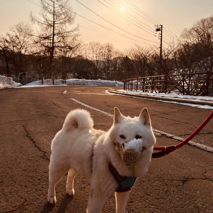 13974cec b978 4838 ab3d 6645a265a3e1 1774131668737