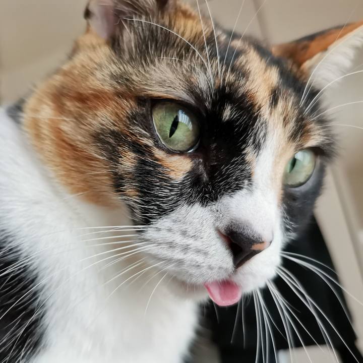 1397be56 d41d 4cb8 916b 77396498388e 1677915305288