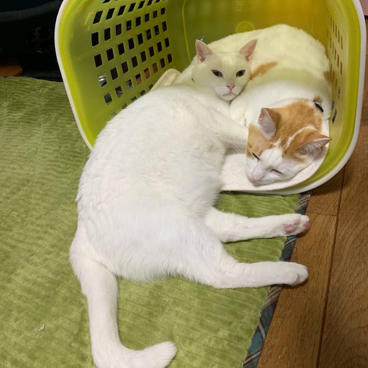 1397c05f 95f3 4885 ae9a 32129e20eeaa 1555340452321