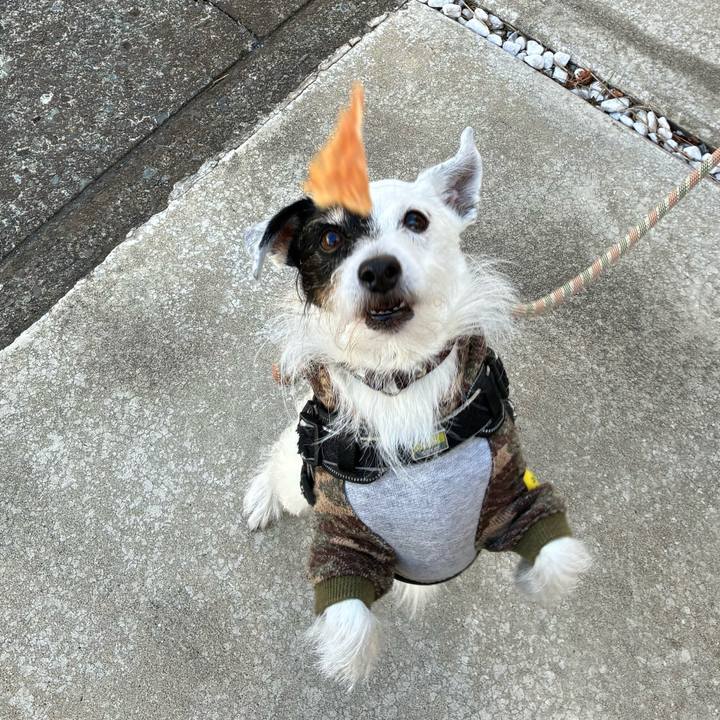 1397cd30 b6fa 4f40 863e b3b10aba0173 1764117257071