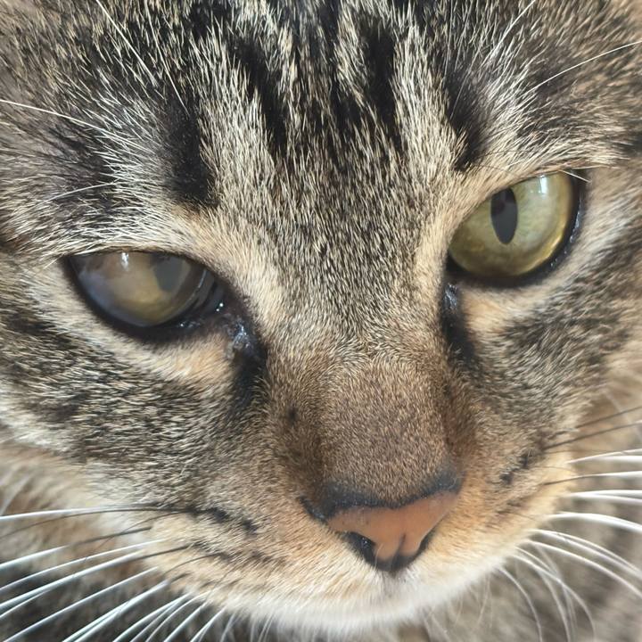 1397cdbd db83 4676 aaa5 fd4d821e99a8 1758335436828