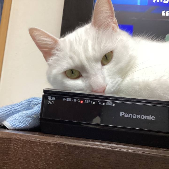 1397cf98 9f2b 4915 89ac 10c374bab904 1680801902094