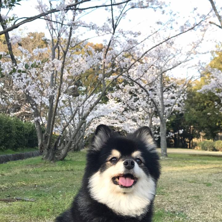 1397ff23 7d73 4cd4 b4c7 886dcdf82e86 1588747628236