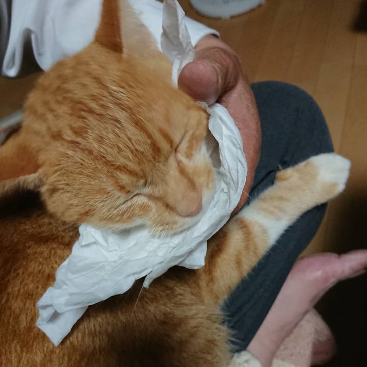 13980dca d38e 4c5e 9d1c cf6b5aee2ebf 1601544928101