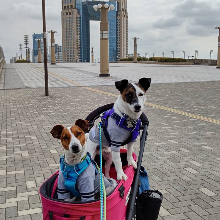 1398328b 95c0 4cea 85d7 580589cd8f54 1617323215977