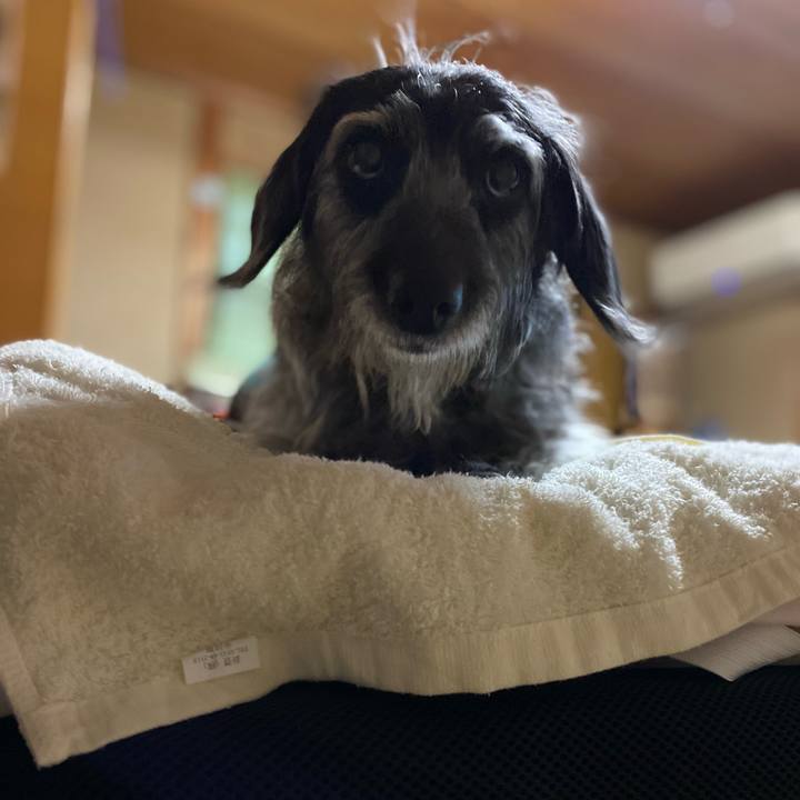 139852a9 b439 468b bf57 28b3e5ee5254 1636413293846