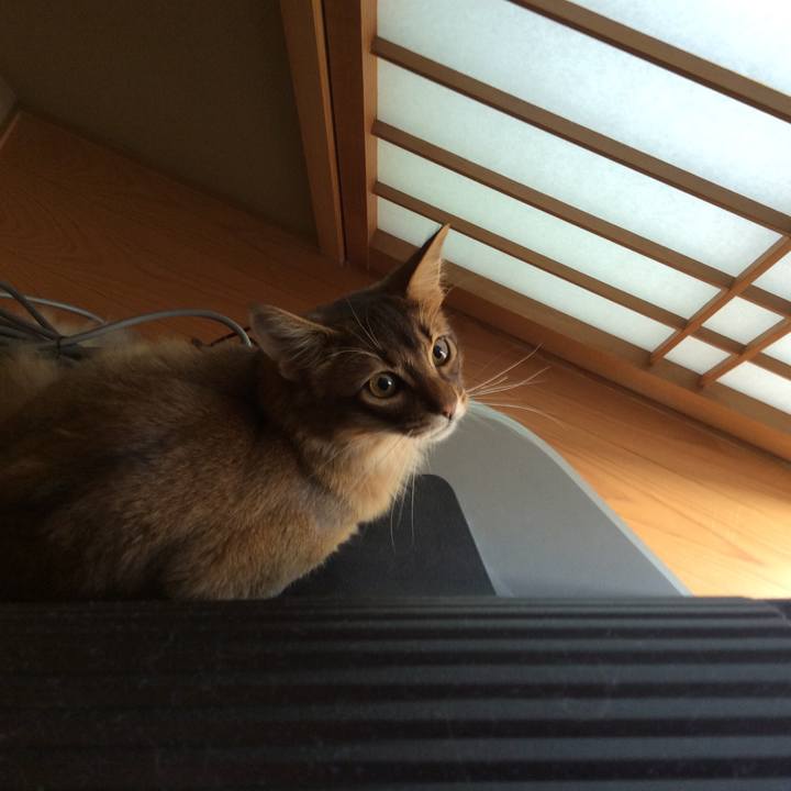 13986b5b b7cf 4833 87c3 f92e9cab1ba6 1588898216197