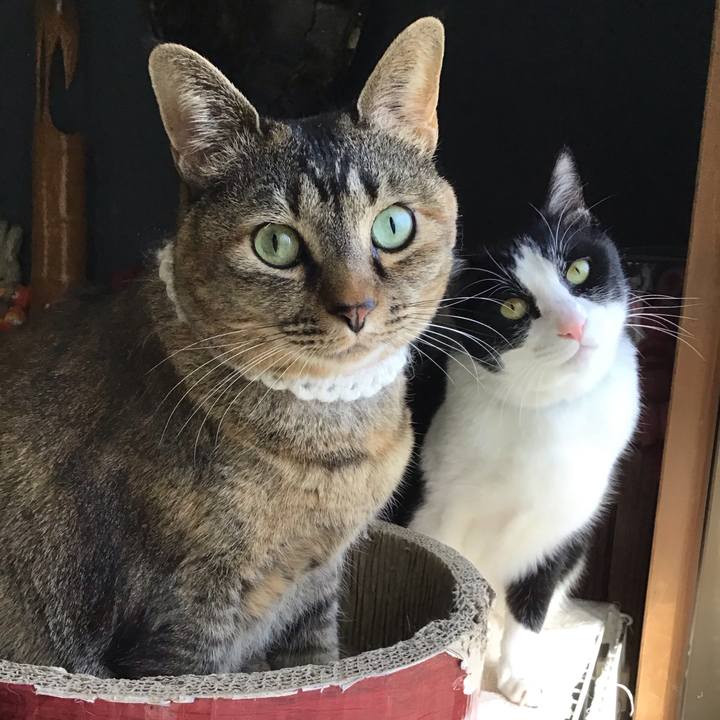 13989296 3a43 4ea8 88dc c35ce068c204 1741949573234