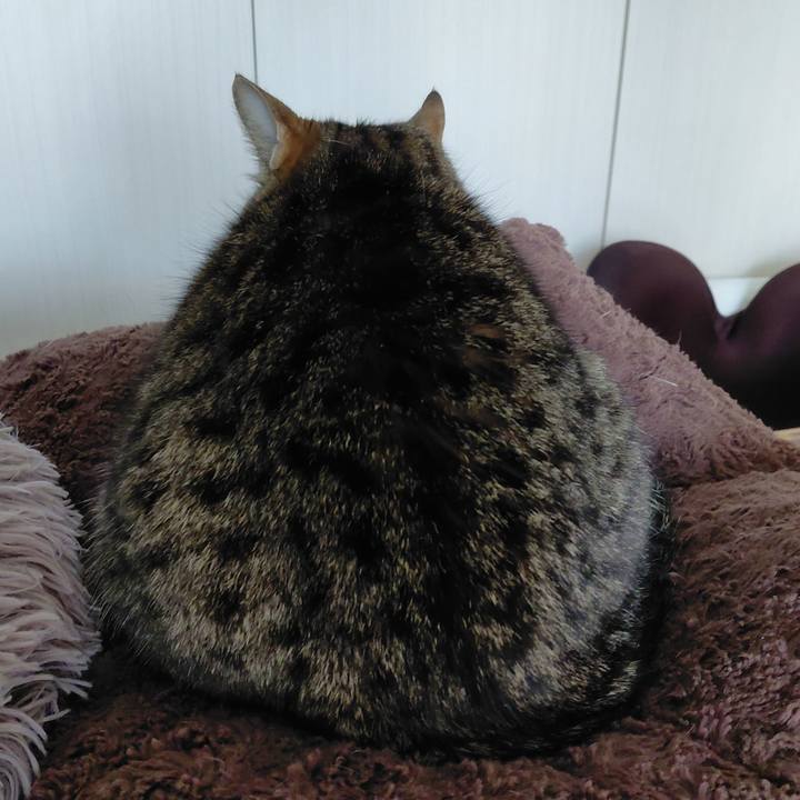 1398afc1 0123 4c9f 95ea 459aa41483f9 1773732699294