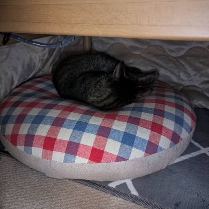 1398bb17 bd48 49bd aa77 918fff1eec70 1761547396693