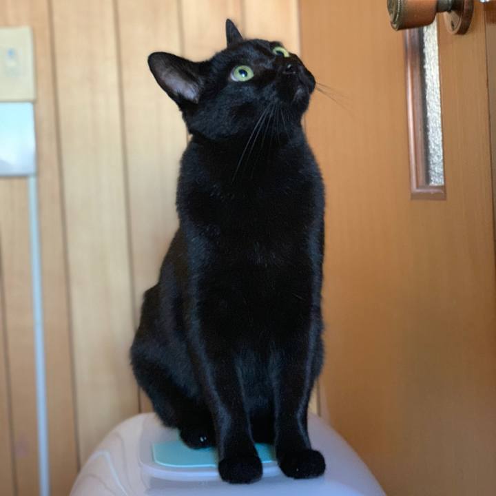 1398f637 a90a 4177 ae01 030c60fcd776 1542070118445