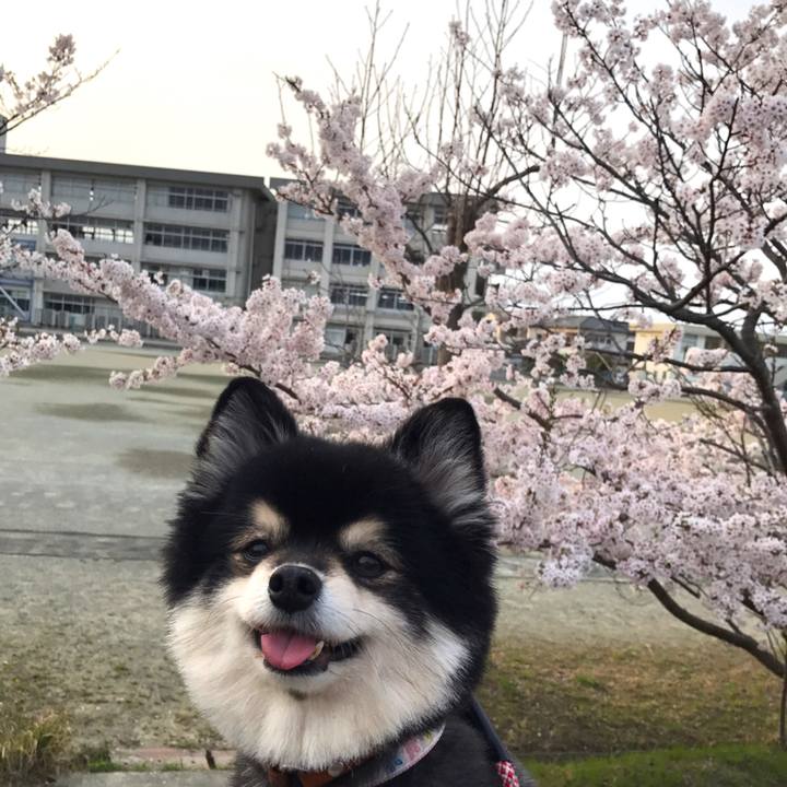 13990ab2 01fb 468f ac91 0fc7ff4c6461 1522926991566