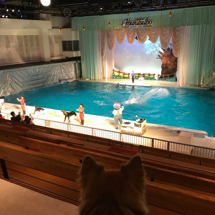 139937d3 58ed 4d36 8910 9faac1d36fd0 1530678608937