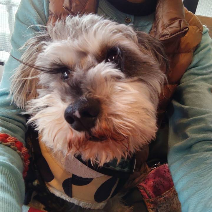 139988ff 8790 49f0 9044 cf669b15117e 1705150080907