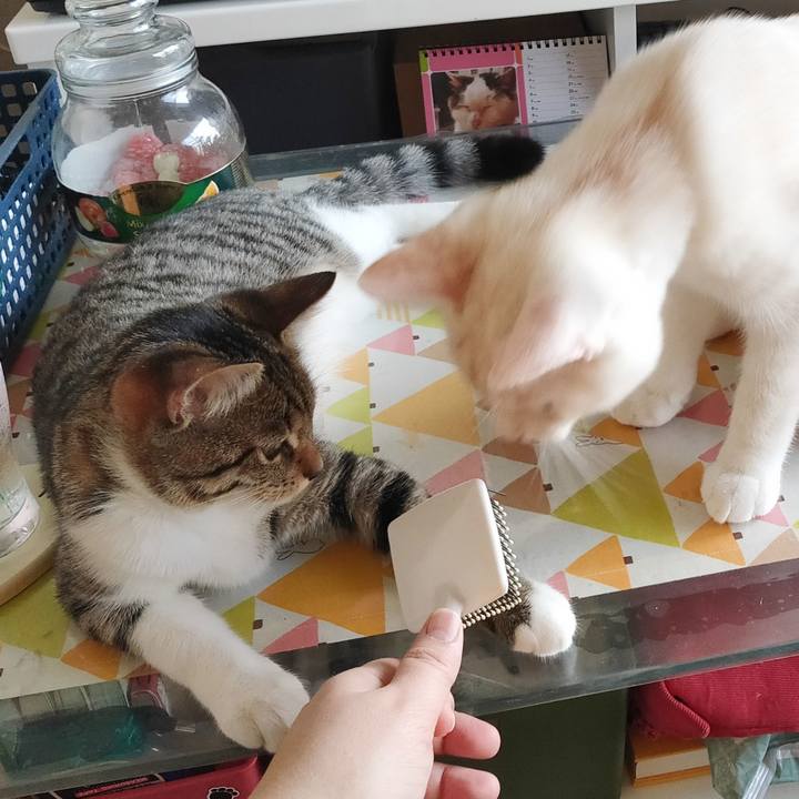 1399c130 71a4 4c18 a7da 34209f9e383c 1632351612842