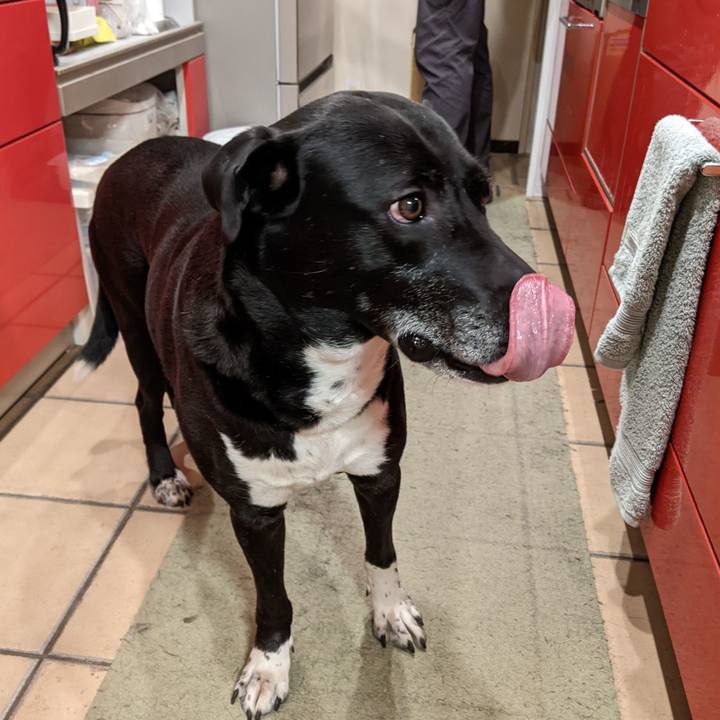 1399f951 611b 4581 89c7 76730d77449f 1682248660439