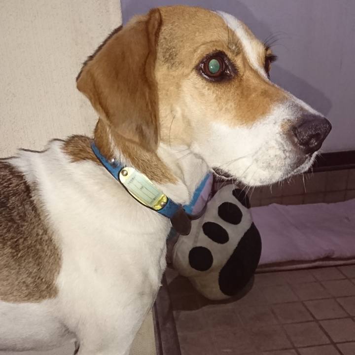 139a0c65 34c3 4e34 878e ff3214f75f3a 1568037551503