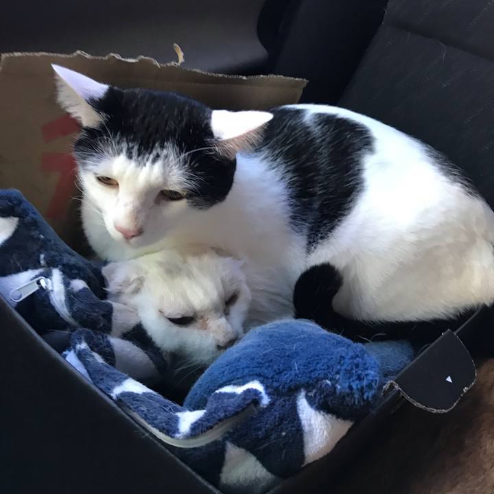 139a0f4a b941 4b9b a8a1 d5235e0e5f74 1542930957103