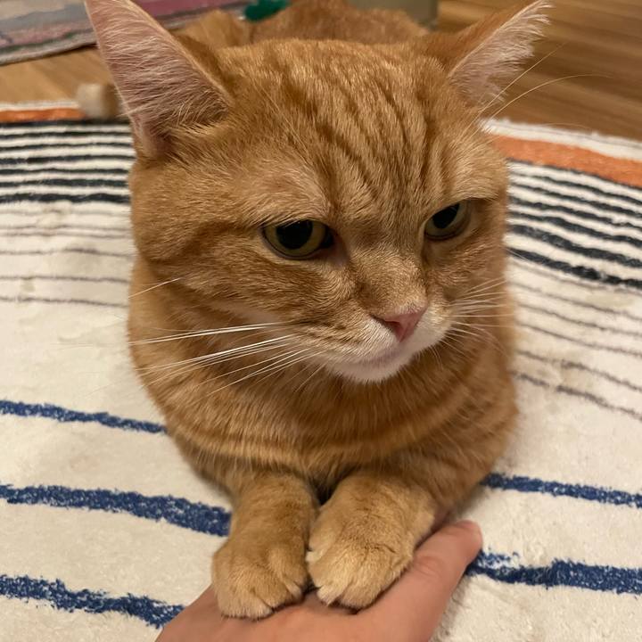 139a2493 2994 4fe4 9d91 987a06cad5f7 1757945255798