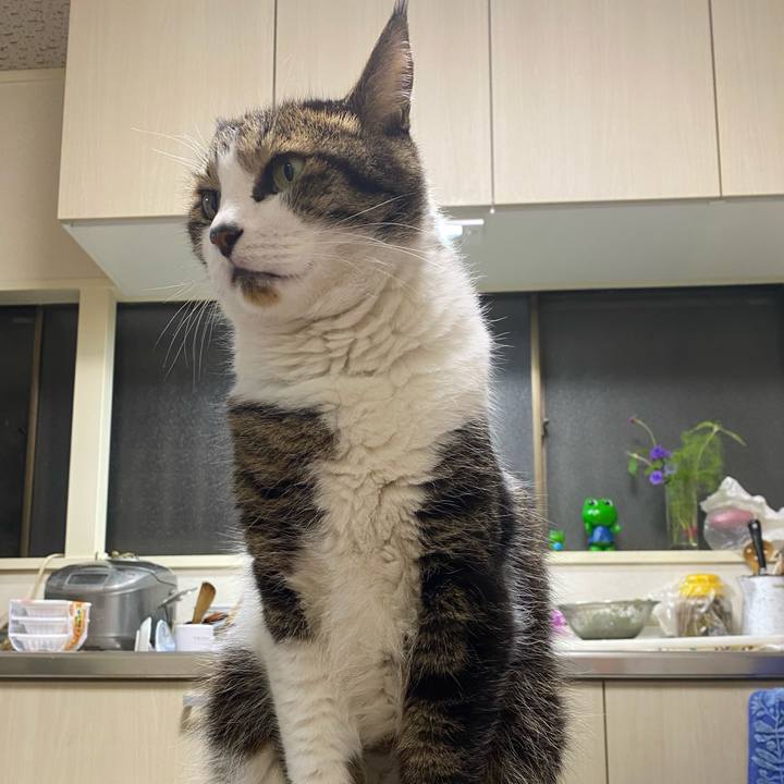 139a3557 a37c 4346 b549 41d6bfda0262 1633105082567