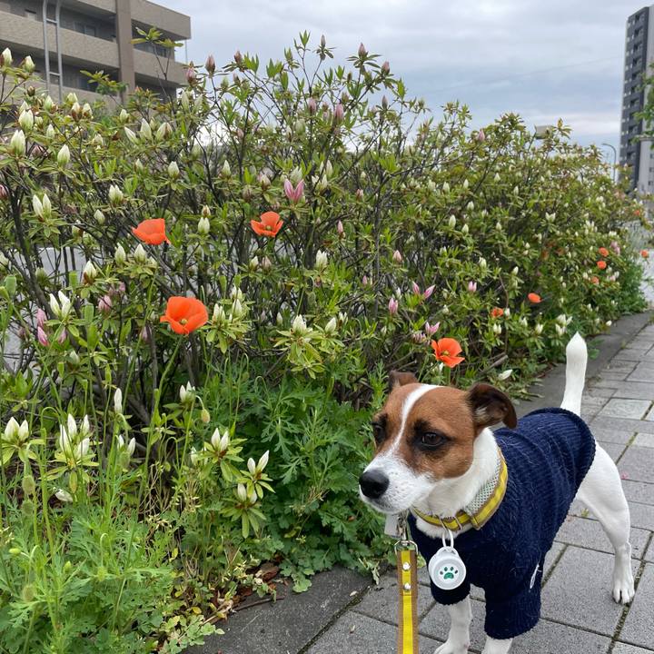 139a44e3 596a 4ff0 ae85 96f3306b5286 1651372831893